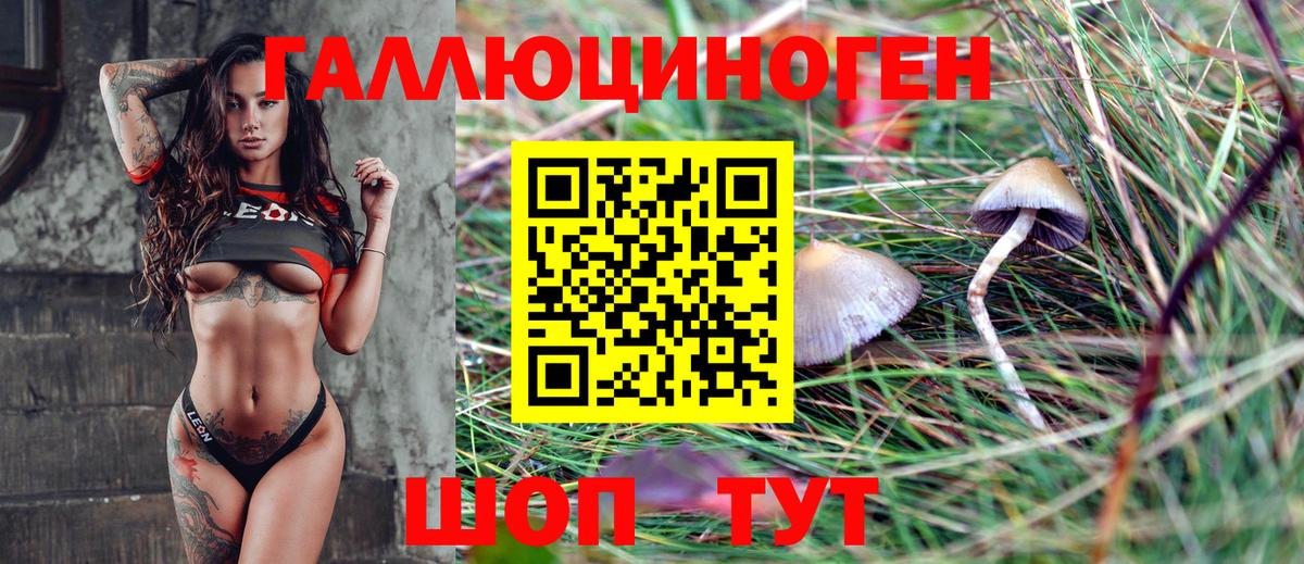 Псилоцибиновые грибы Cubensis Братск