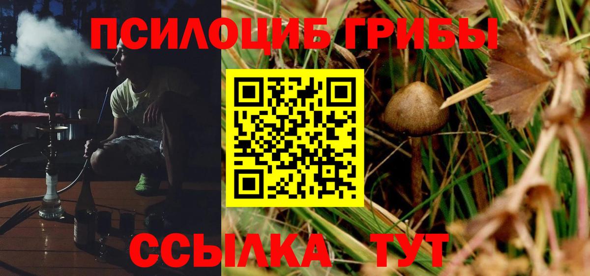 Псилоцибиновые грибы Psilocybine cubensis  Вход с VPN  Братск 